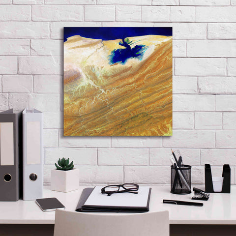 Image of 'Earth as Art: Ink Stain,' Canvas Wall Art,18 x 18