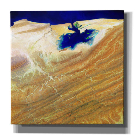 Image of 'Earth as Art: Ink Stain,' Canvas Wall Art,12x12x1.1x0,18x18x1.1x0,26x26x1.74x0,37x37x1.74x0