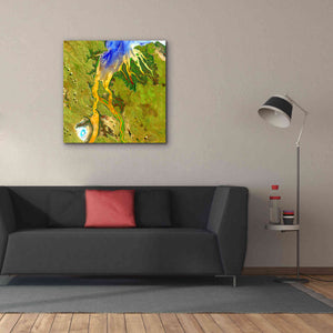 'Earth as Art: Nature's Patterns,' Canvas Wall Art,37 x 37