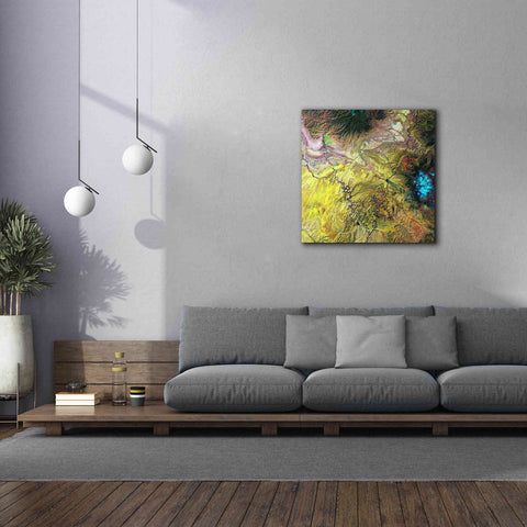 Image of 'Earth as Art: Canyonlands,' Canvas Wall Art,37 x 37