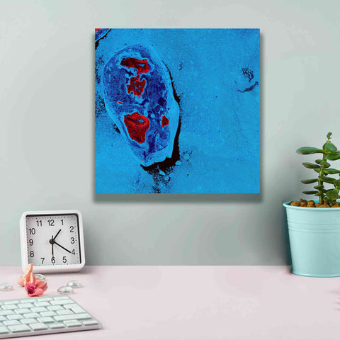 Image of 'Earth as Art: Cellular Ice,' Canvas Wall Art,12 x 12