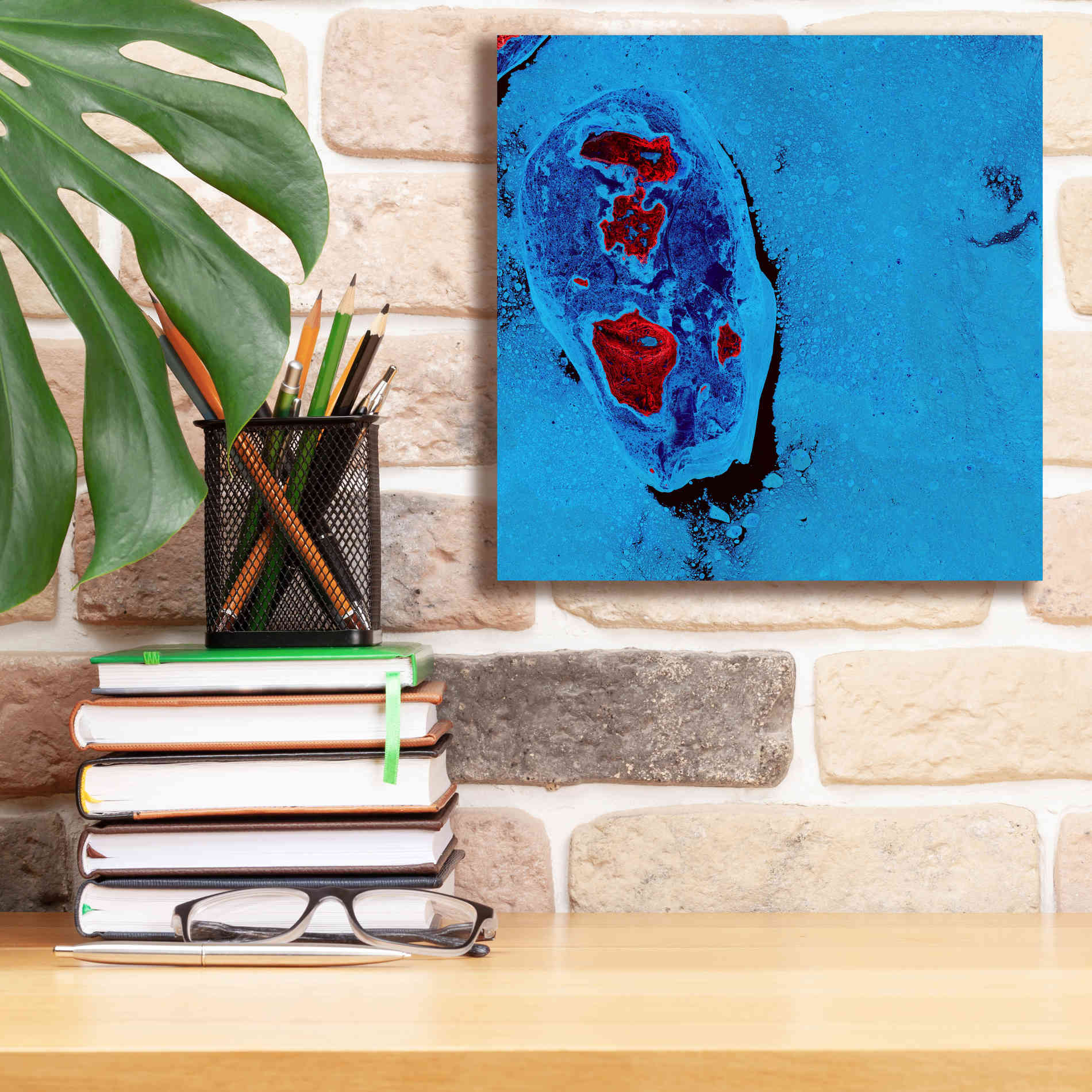 'Earth as Art: Cellular Ice,' Canvas Wall Art,12 x 12