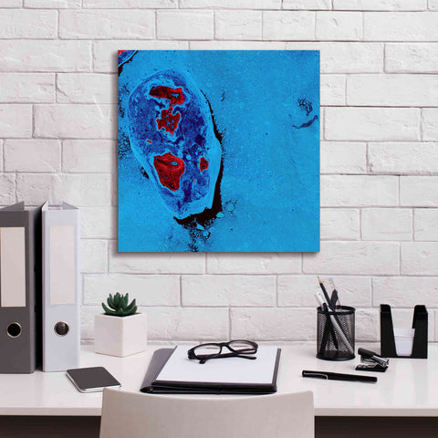 Image of 'Earth as Art: Cellular Ice,' Canvas Wall Art,18 x 18
