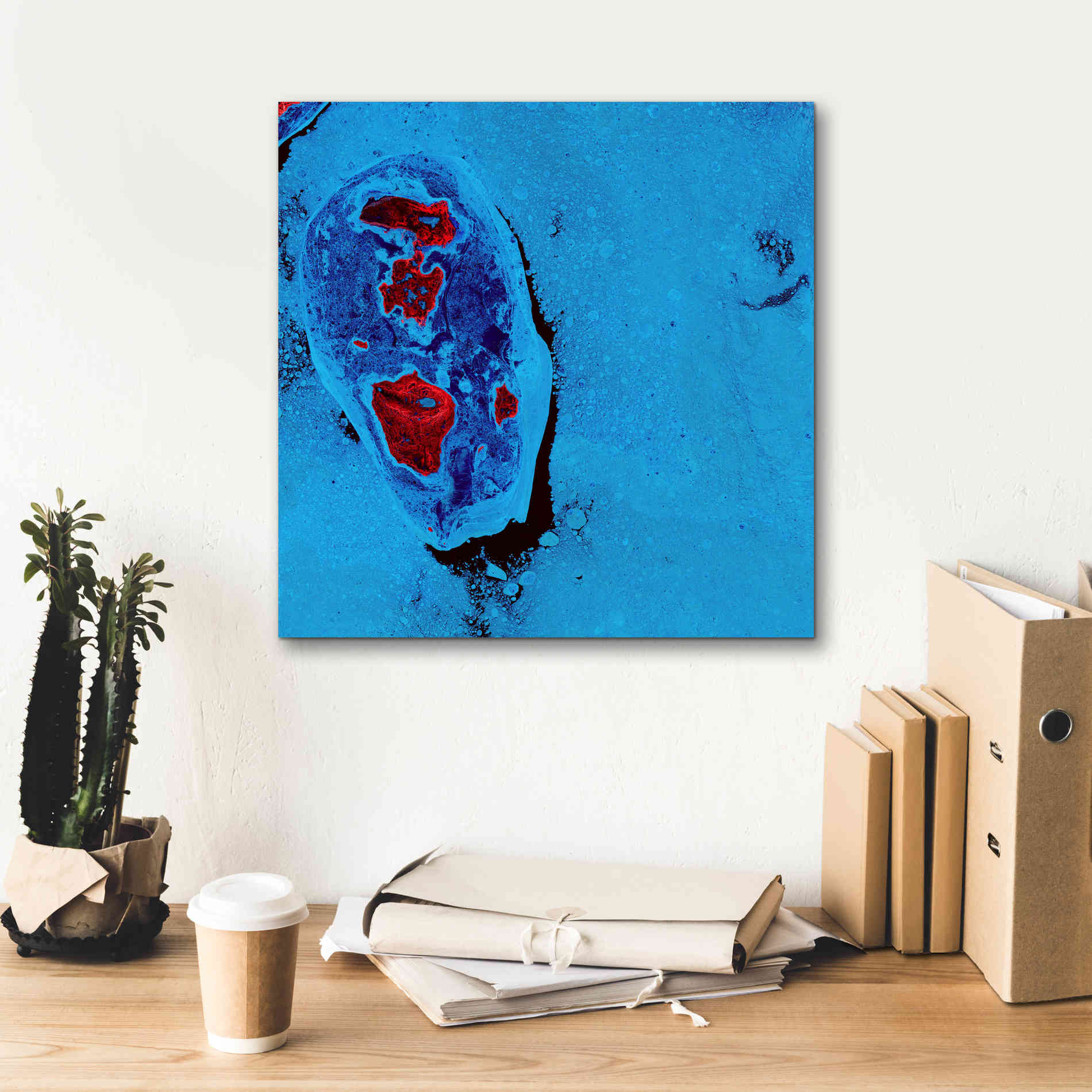 'Earth as Art: Cellular Ice,' Canvas Wall Art,18 x 18