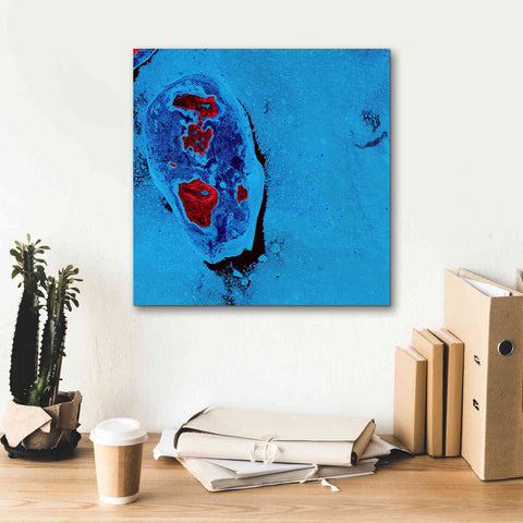 Image of 'Earth as Art: Cellular Ice,' Canvas Wall Art,18 x 18