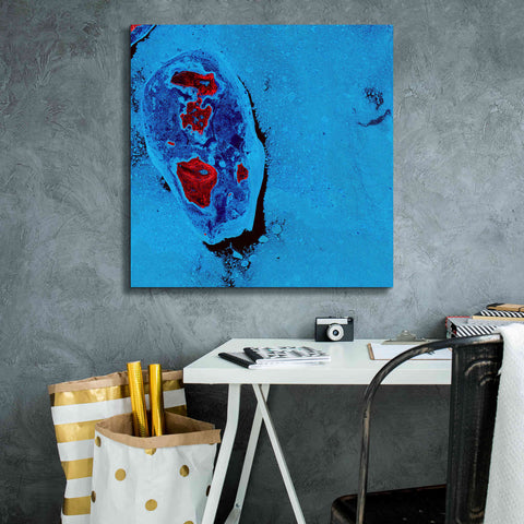 Image of 'Earth as Art: Cellular Ice,' Canvas Wall Art,26 x 26