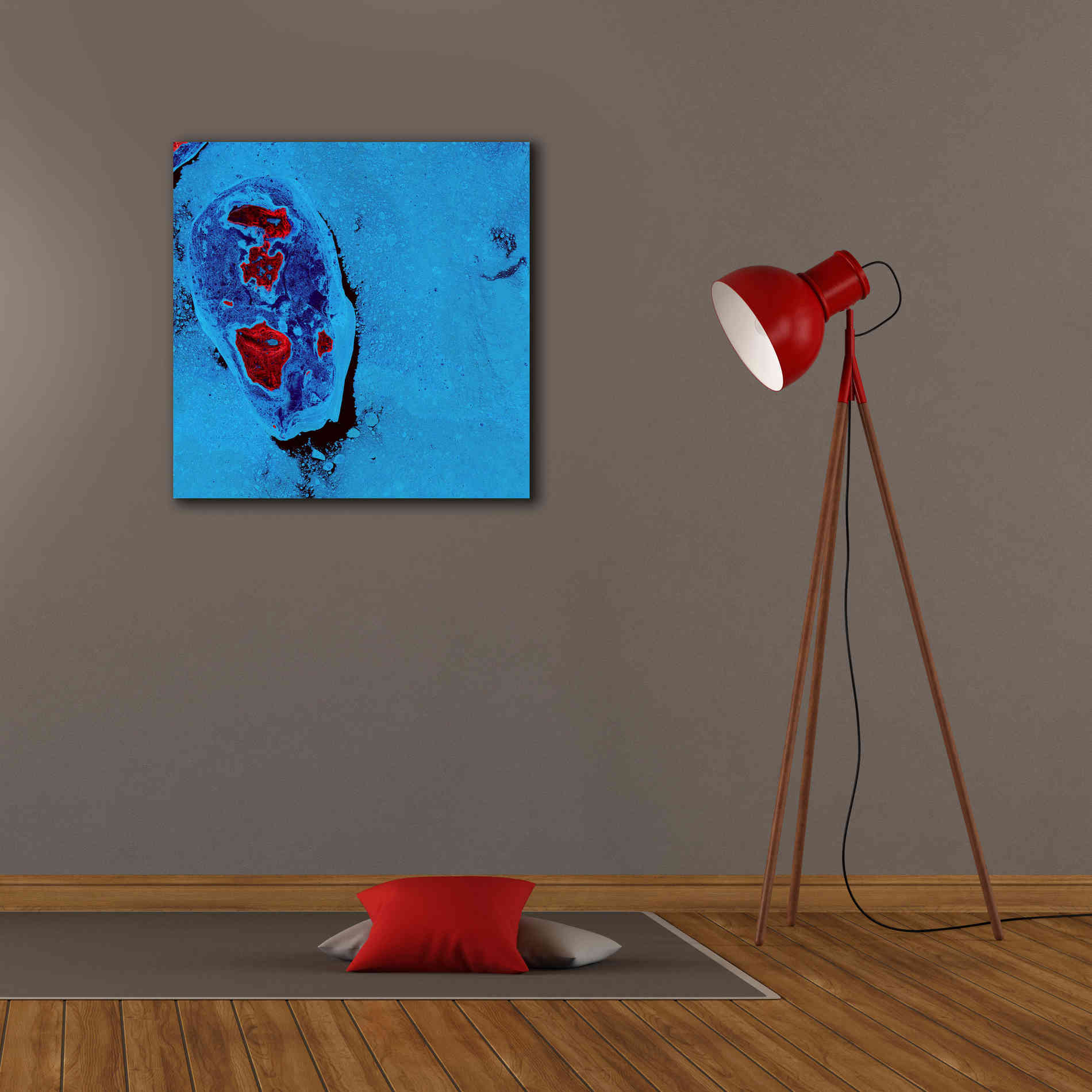 'Earth as Art: Cellular Ice,' Canvas Wall Art,26 x 26