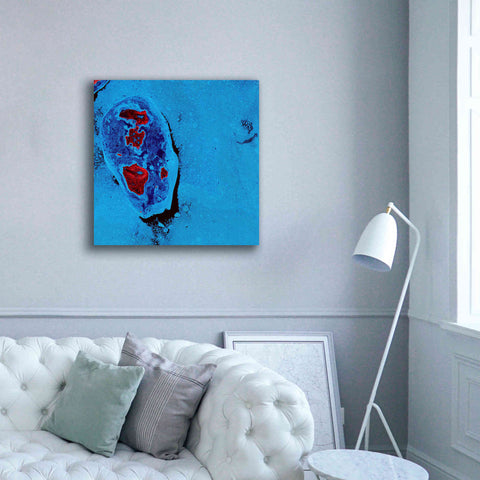 Image of 'Earth as Art: Cellular Ice,' Canvas Wall Art,37 x 37