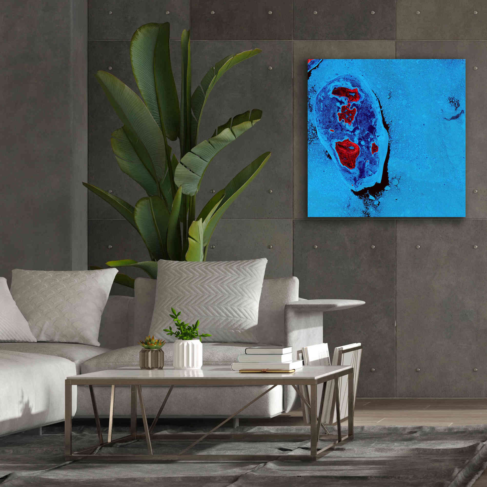'Earth as Art: Cellular Ice,' Canvas Wall Art,37 x 37