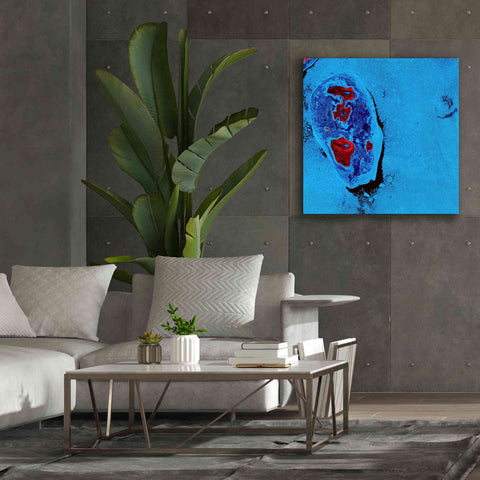 Image of 'Earth as Art: Cellular Ice,' Canvas Wall Art,37 x 37
