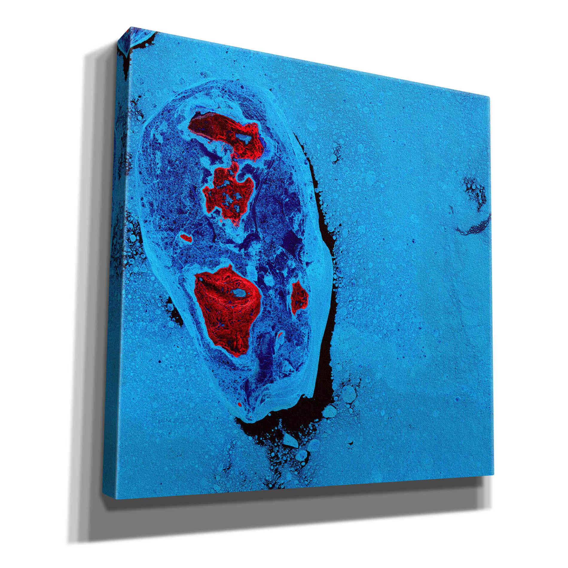'Earth as Art: Cellular Ice,' Canvas Wall Art,12x12x1.1x0,18x18x1.1x0,26x26x1.74x0,37x37x1.74x0