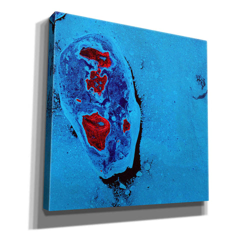 Image of 'Earth as Art: Cellular Ice,' Canvas Wall Art,12x12x1.1x0,18x18x1.1x0,26x26x1.74x0,37x37x1.74x0