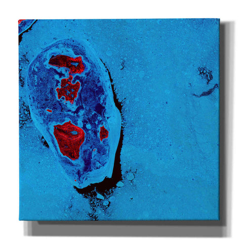 Image of 'Earth as Art: Cellular Ice,' Canvas Wall Art,12x12x1.1x0,18x18x1.1x0,26x26x1.74x0,37x37x1.74x0