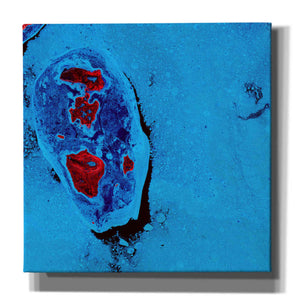 'Earth as Art: Cellular Ice,' Canvas Wall Art,12x12x1.1x0,18x18x1.1x0,26x26x1.74x0,37x37x1.74x0