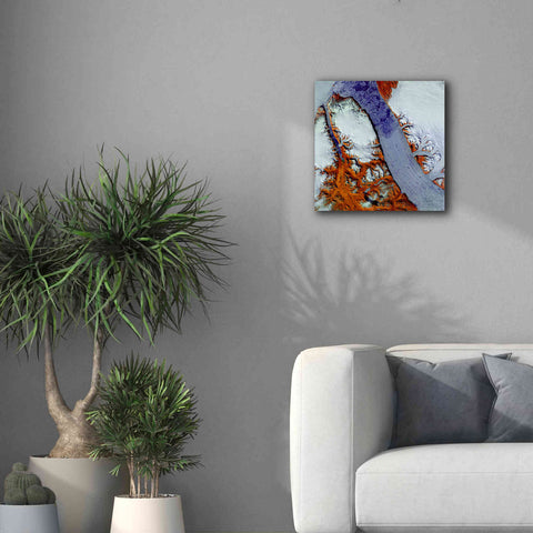 Image of 'Earth as Art: Petermann Glacier,' Canvas Wall Art,18 x 18