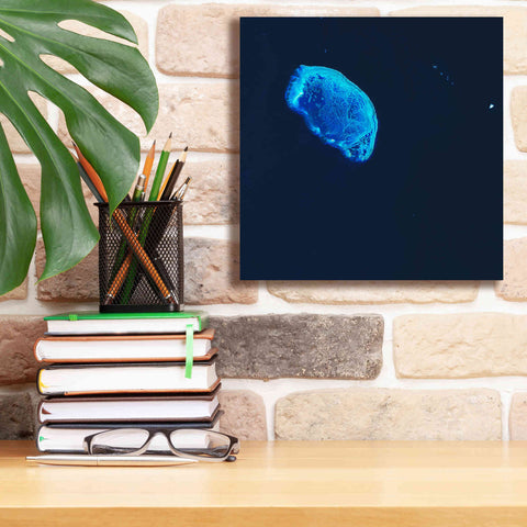 Image of 'Earth as Art: Scorpion Reef,' Canvas Wall Art,12 x 12