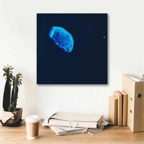 Image of 'Earth as Art: Scorpion Reef,' Canvas Wall Art,18 x 18