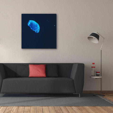 Image of 'Earth as Art: Scorpion Reef,' Canvas Wall Art,37 x 37