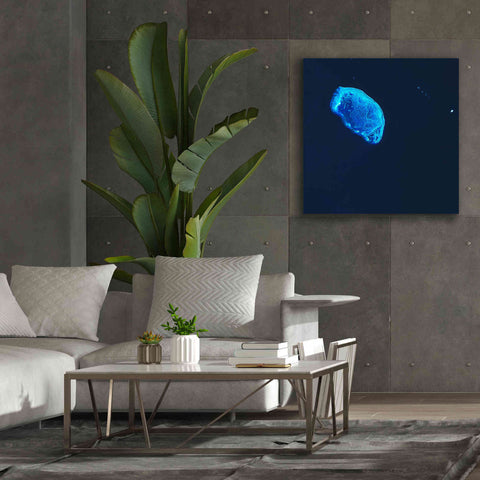 Image of 'Earth as Art: Scorpion Reef,' Canvas Wall Art,37 x 37