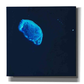 'Earth as Art: Scorpion Reef,' Canvas Wall Art,12x12x1.1x0,18x18x1.1x0,26x26x1.74x0,37x37x1.74x0