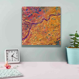 'Earth as Art: Capillaries,' Canvas Wall Art,12 x 12