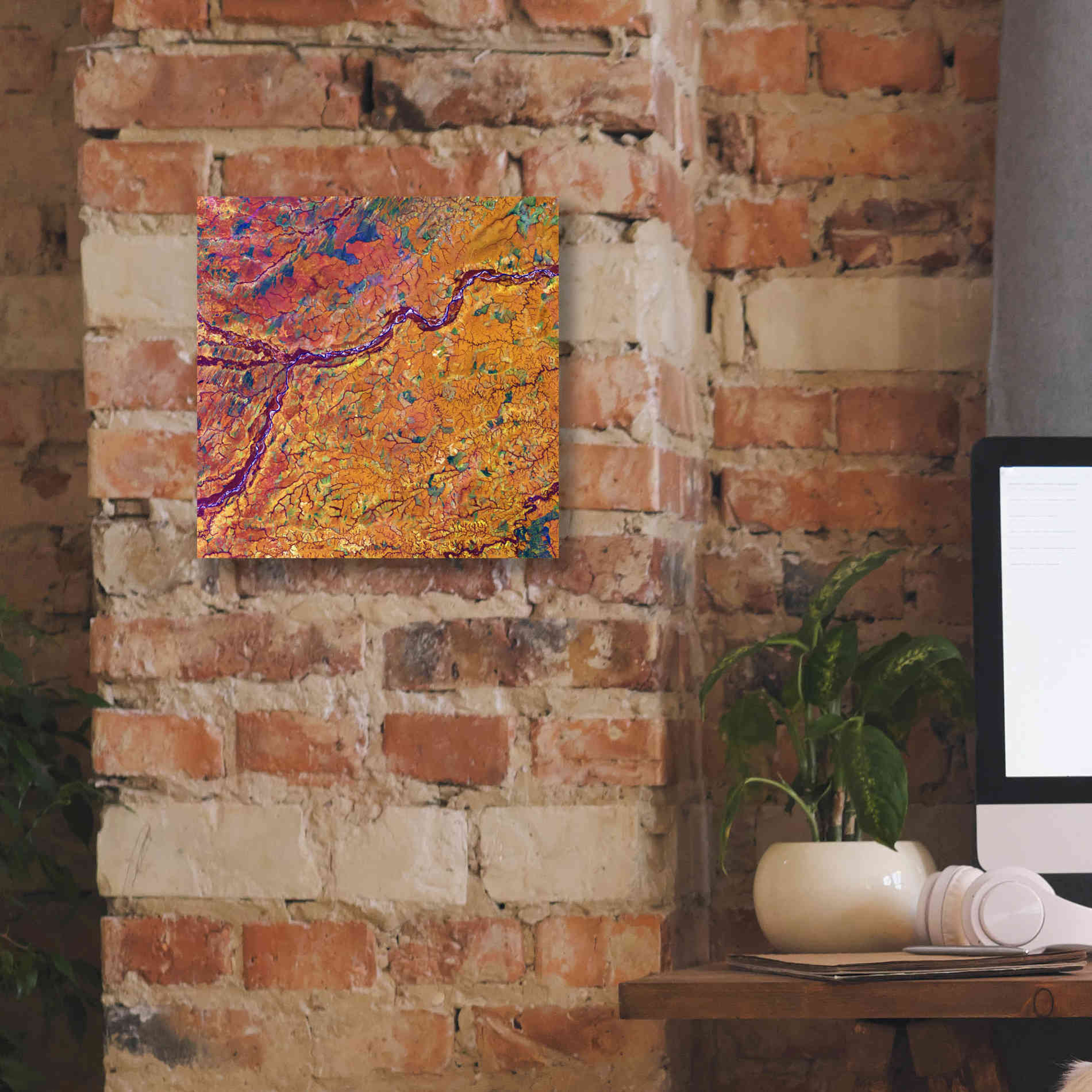 'Earth as Art: Capillaries,' Canvas Wall Art,12 x 12