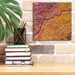 'Earth as Art: Capillaries,' Canvas Wall Art,12 x 12