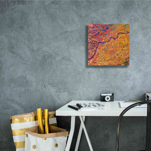 Image of 'Earth as Art: Capillaries,' Canvas Wall Art,12 x 12