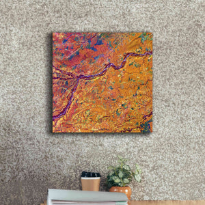 'Earth as Art: Capillaries,' Canvas Wall Art,18 x 18