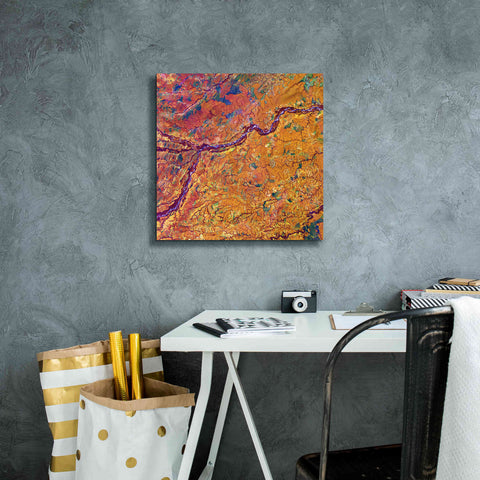 Image of 'Earth as Art: Capillaries,' Canvas Wall Art,18 x 18