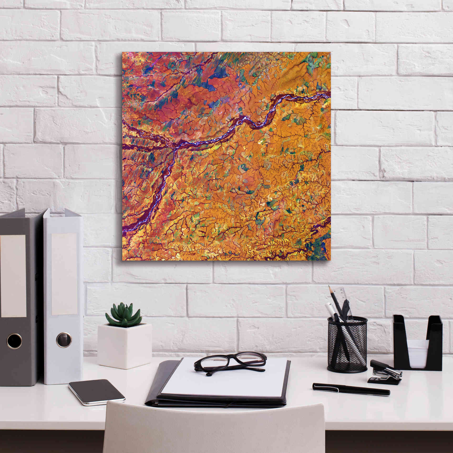 'Earth as Art: Capillaries,' Canvas Wall Art,18 x 18