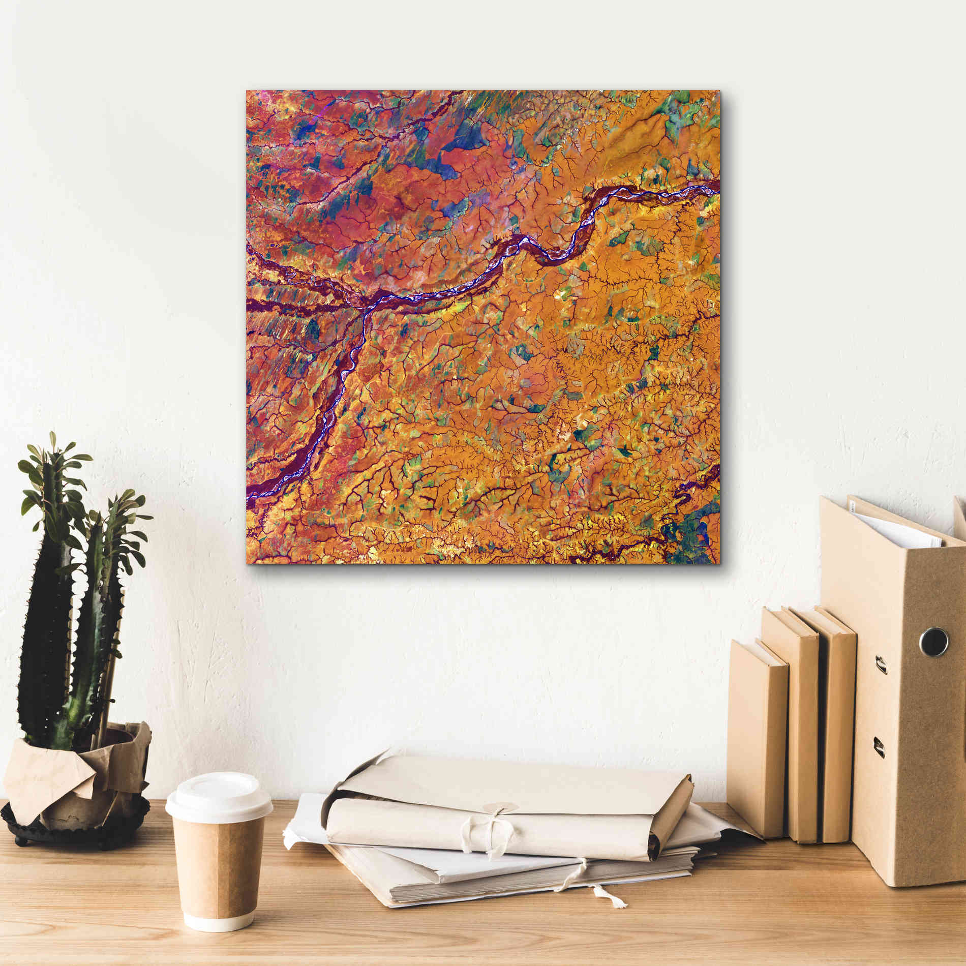 'Earth as Art: Capillaries,' Canvas Wall Art,18 x 18