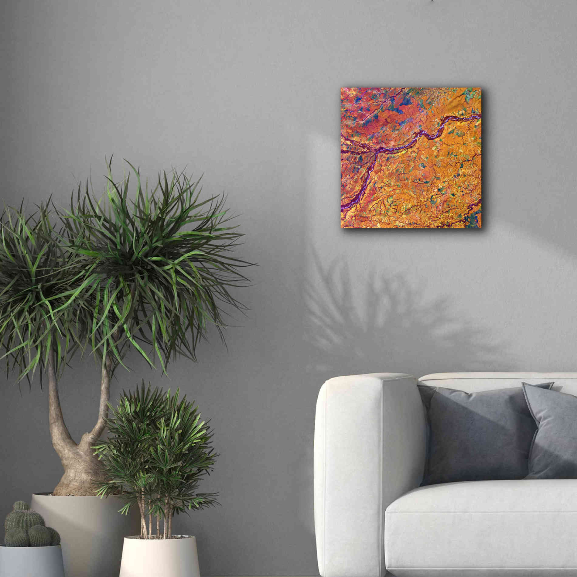 'Earth as Art: Capillaries,' Canvas Wall Art,18 x 18