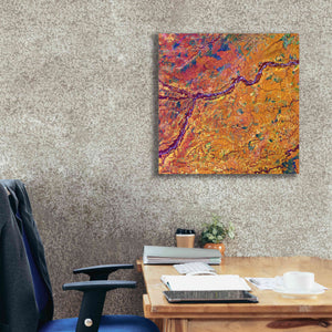 'Earth as Art: Capillaries,' Canvas Wall Art,26 x 26
