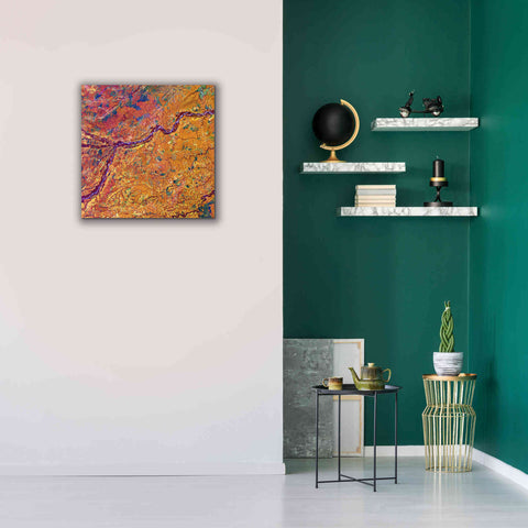 Image of 'Earth as Art: Capillaries,' Canvas Wall Art,26 x 26