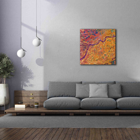 Image of 'Earth as Art: Capillaries,' Canvas Wall Art,37 x 37