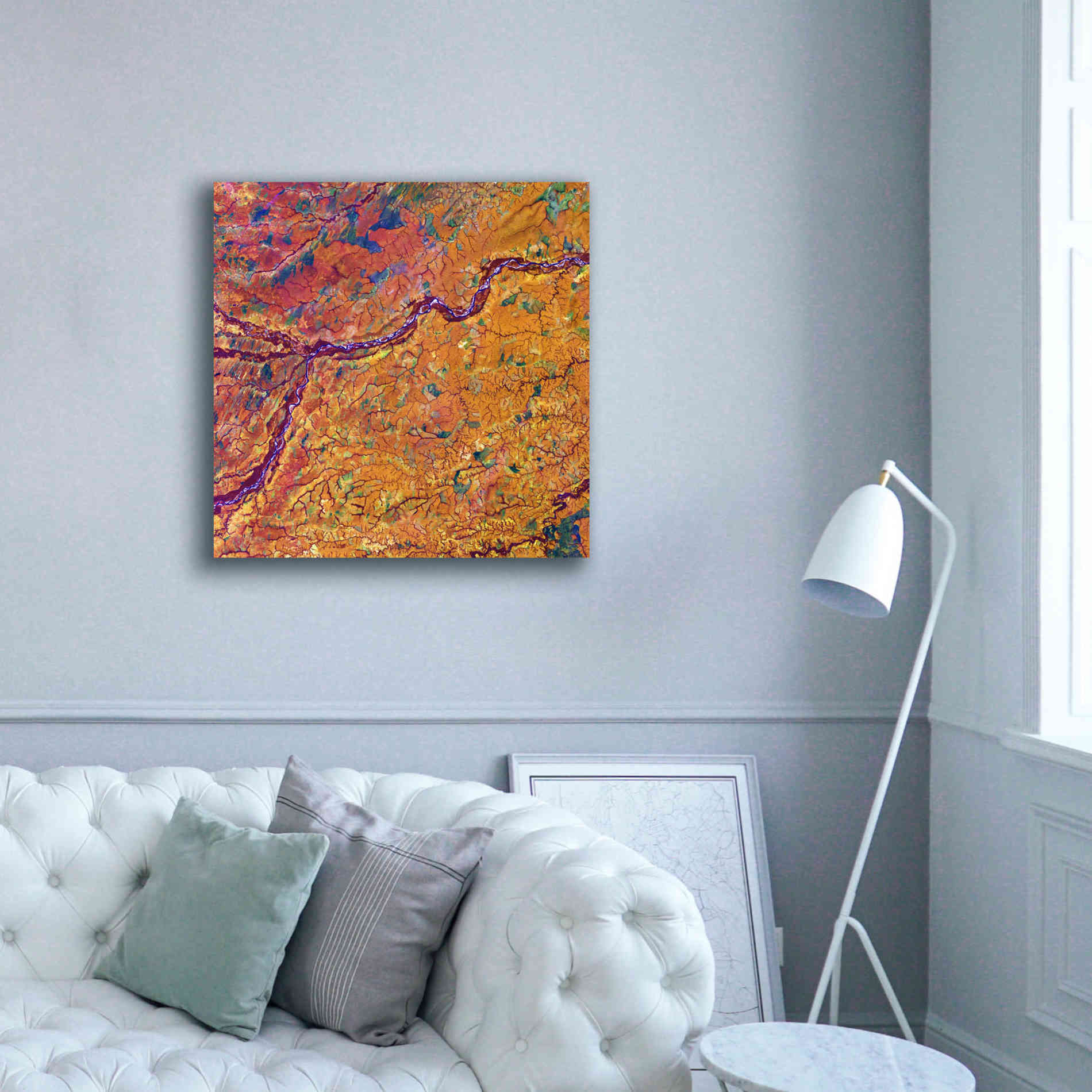 'Earth as Art: Capillaries,' Canvas Wall Art,37 x 37