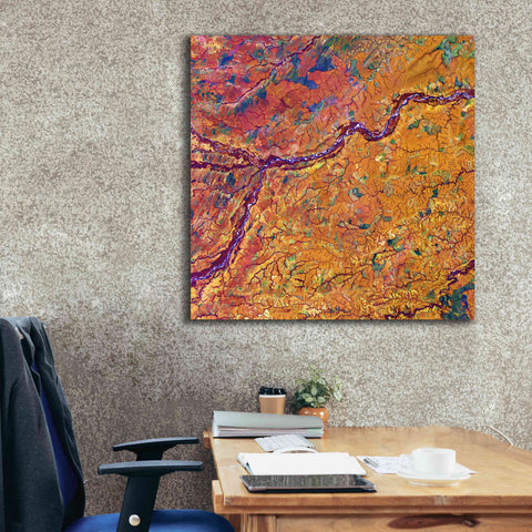 Image of 'Earth as Art: Capillaries,' Canvas Wall Art,37 x 37