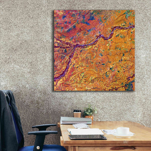 'Earth as Art: Capillaries,' Canvas Wall Art,37 x 37