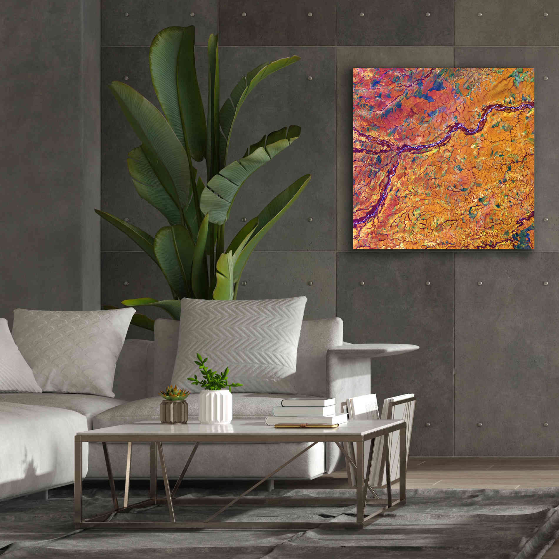 'Earth as Art: Capillaries,' Canvas Wall Art,37 x 37