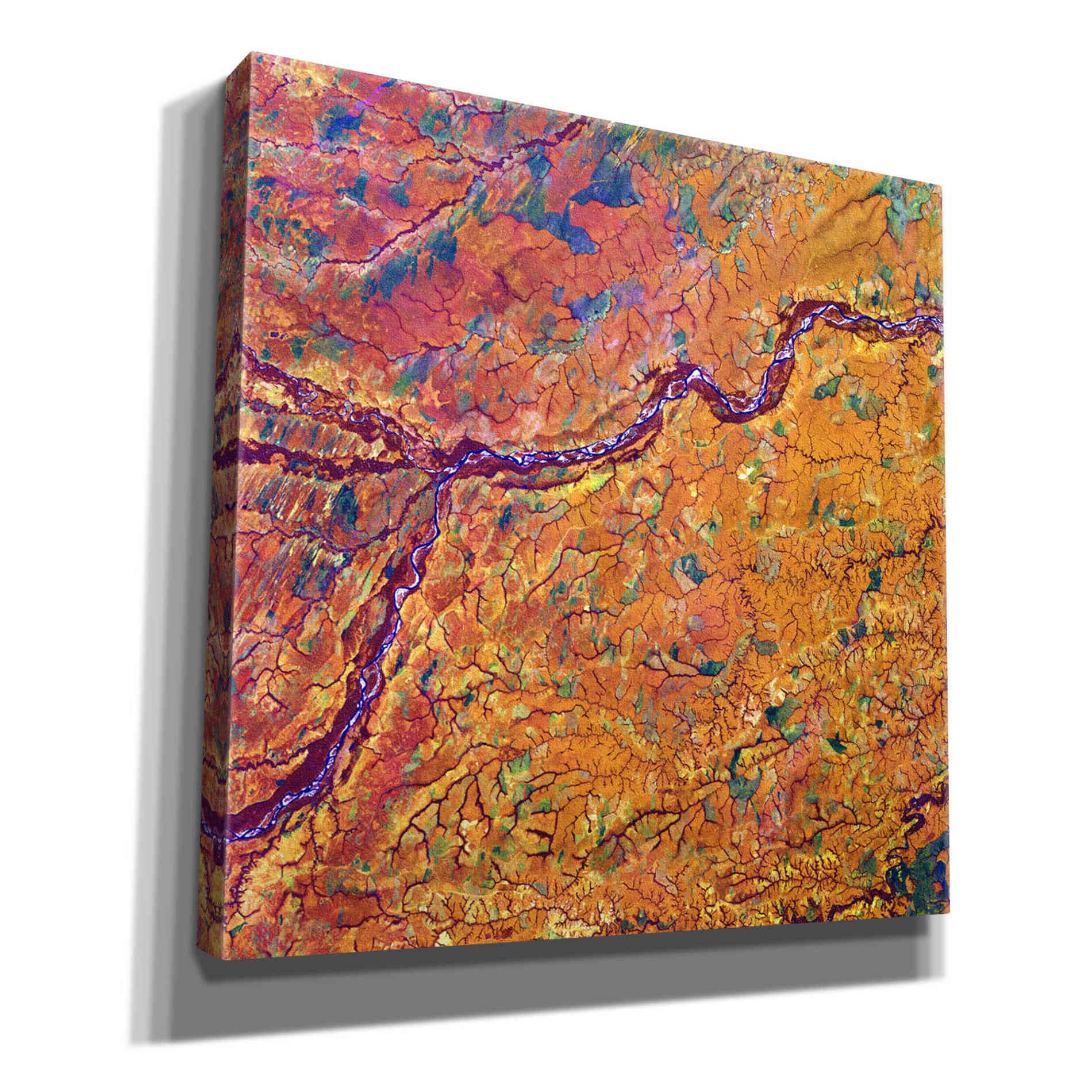 'Earth as Art: Capillaries,' Canvas Wall Art,12x12x1.1x0,18x18x1.1x0,26x26x1.74x0,37x37x1.74x0