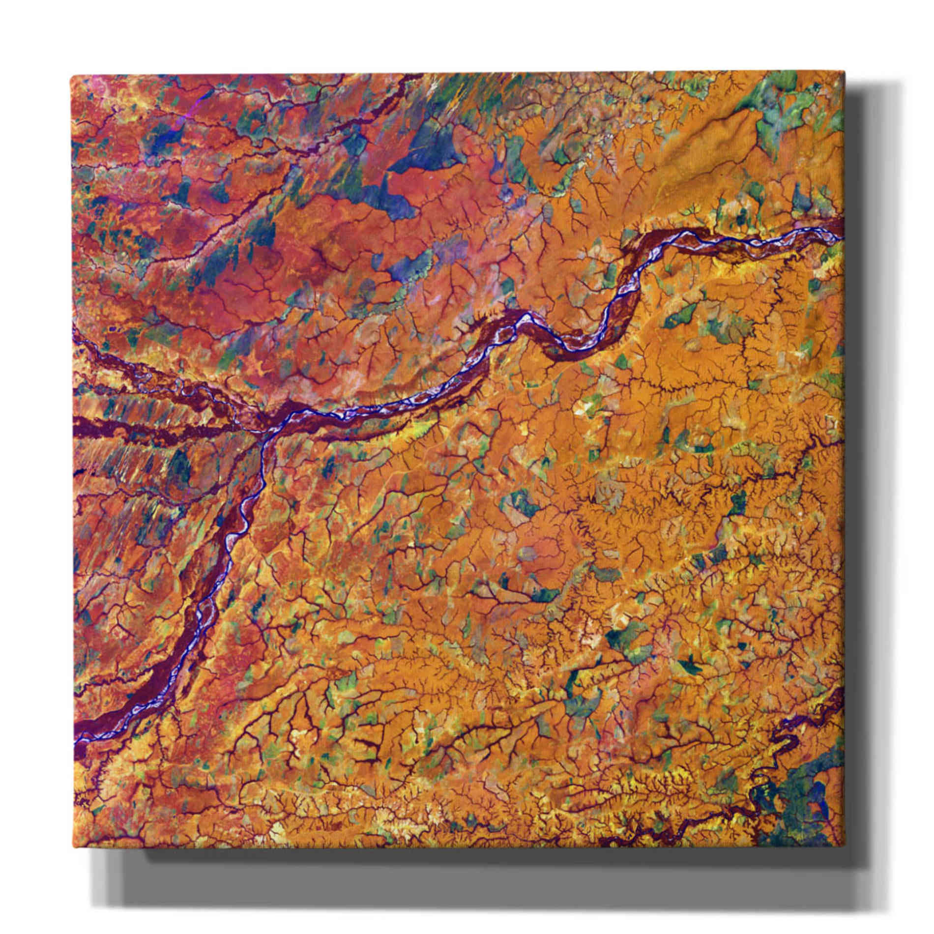 'Earth as Art: Capillaries,' Canvas Wall Art,12x12x1.1x0,18x18x1.1x0,26x26x1.74x0,37x37x1.74x0