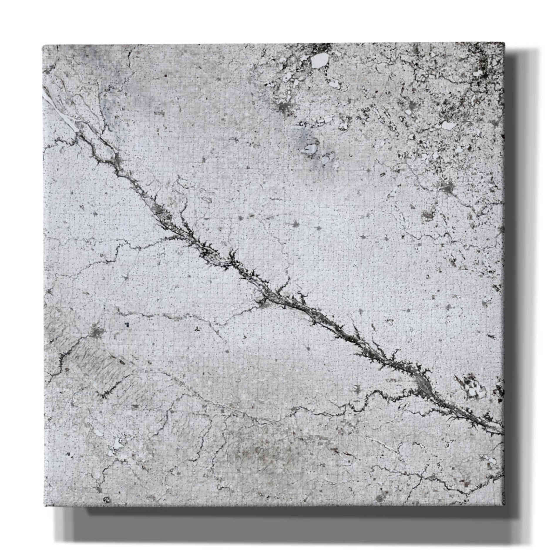 'Earth as Art: Bleak Midwinter,' Canvas Wall Art,12x12x1.1x0,18x18x1.1x0,26x26x1.74x0,37x37x1.74x0