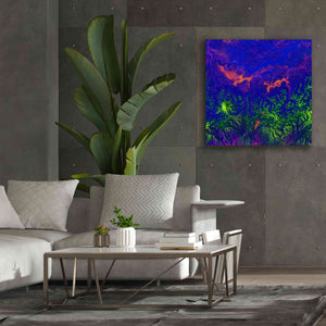 'Earth as Art: Fanciful Fluorescence,' Canvas Wall Art,37 x 37