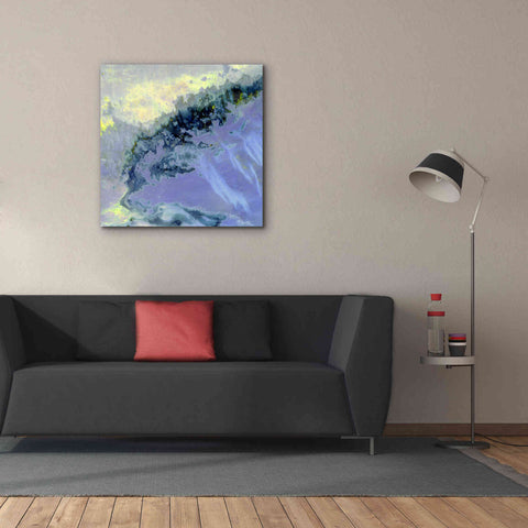 Image of 'Earth as Art: Lurking Madness,' Canvas Wall Art,37 x 37