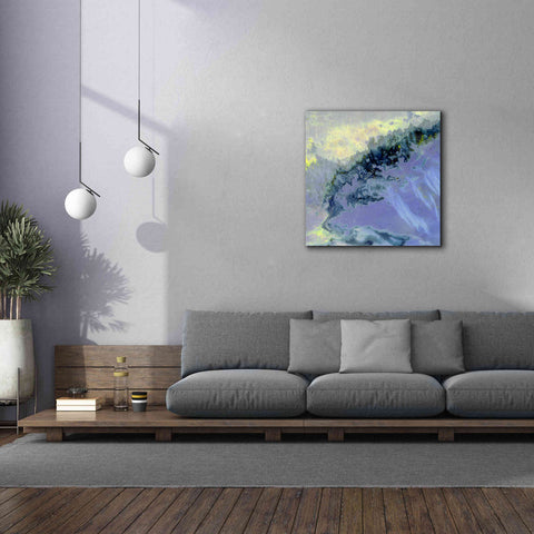 Image of 'Earth as Art: Lurking Madness,' Canvas Wall Art,37 x 37