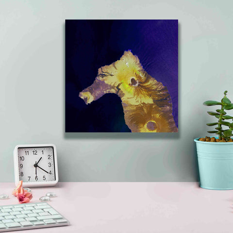 Image of 'Earth as Art: Painted Horse,' Canvas Wall Art,12 x 12