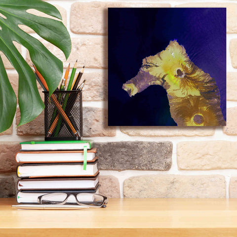 Image of 'Earth as Art: Painted Horse,' Canvas Wall Art,12 x 12