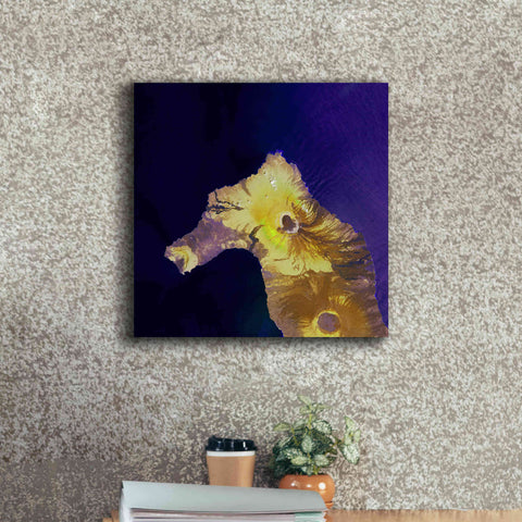 Image of 'Earth as Art: Painted Horse,' Canvas Wall Art,18 x 18