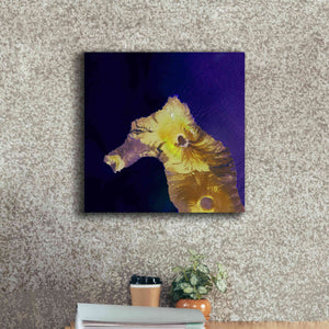 'Earth as Art: Painted Horse,' Canvas Wall Art,18 x 18